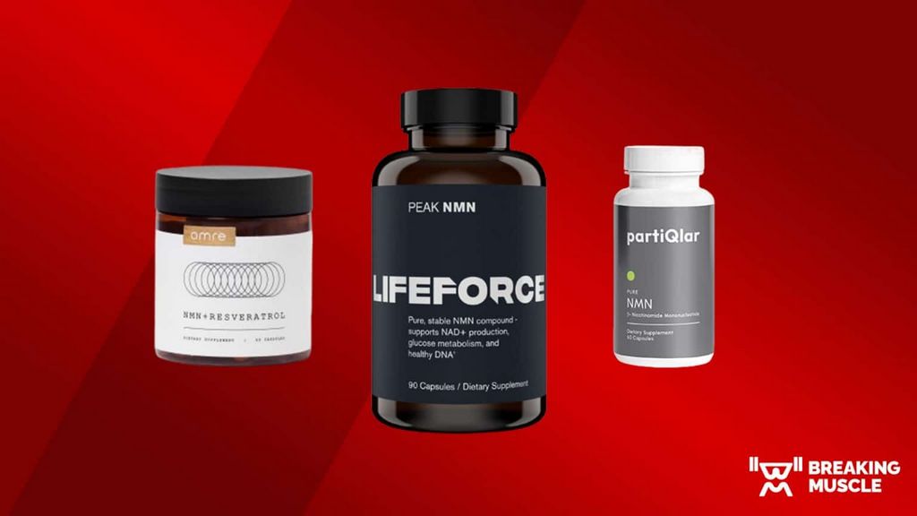 Rainbet: Cassino online com Bitcoin e criptomoedas para grandes apostadores